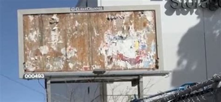 'Anti-trans' billboard removed from Wellington's CBD