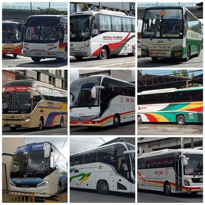 Bus companies look overseas to fill hundreds of vacancies