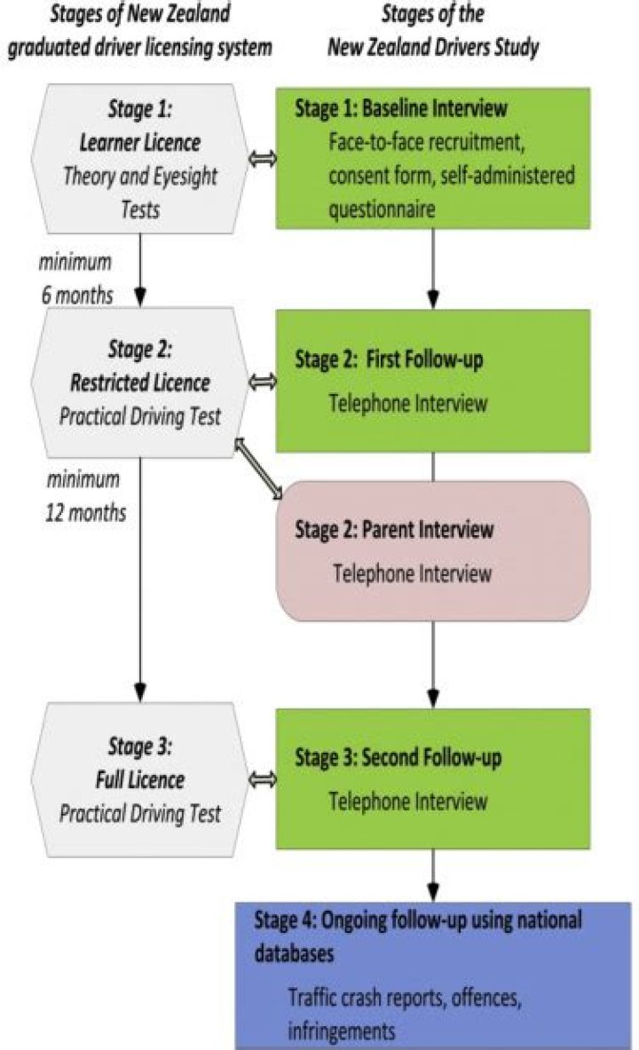 Changes to learner and restricted licence renewals proposed