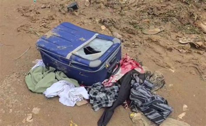 Children whose bodies were found in suitcases in Auckland named