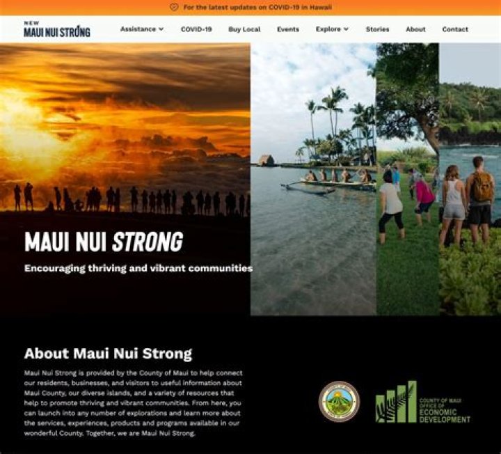 County launches ‘Maui Nui Strong’ | News, Sports, Jobs