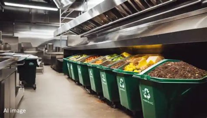Critical recycling report pushes for food waste collection and nationwide approach