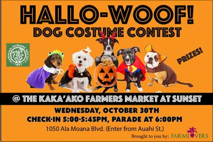 Dog Costume Contest Held | News