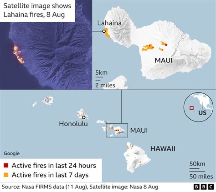 Hawaii officials say DNA tests drop Maui fire death count to 97 | News, Sports, Jobs