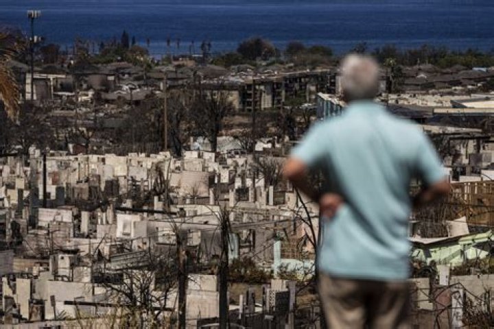 Hawaii officials urge families of people missing after deadly fires to give DNA samples | News, Sports, Jobs