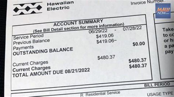 Hawaiian Electric: Typical bills lower than a year ago | News, Sports, Jobs
