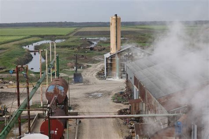 Life after sugar – a year later | News, Sports, Jobs