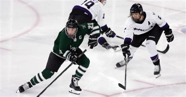 Nicole Hensley makes 33 saves and Minnesota holds off Boston 3-2 in PWHL debut for both teams