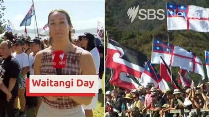 Protests raise questions about reception at Waitangi Day