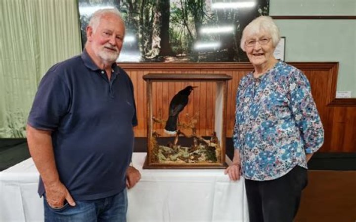 Stuffed huia returned 3 years after theft from Dannevirke museum