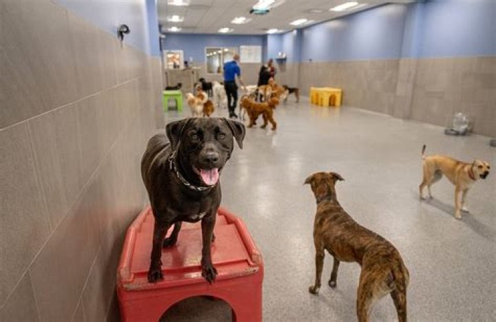 Terry Raymond Obituary, Succasunna NJ, Terry Raymond Has Died