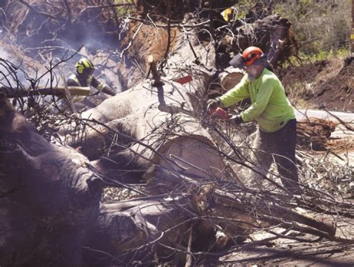 ‘Truly apocalyptic’: Lahaina residents get sense of damage as death toll reaches 36 | News, Sports, Jobs