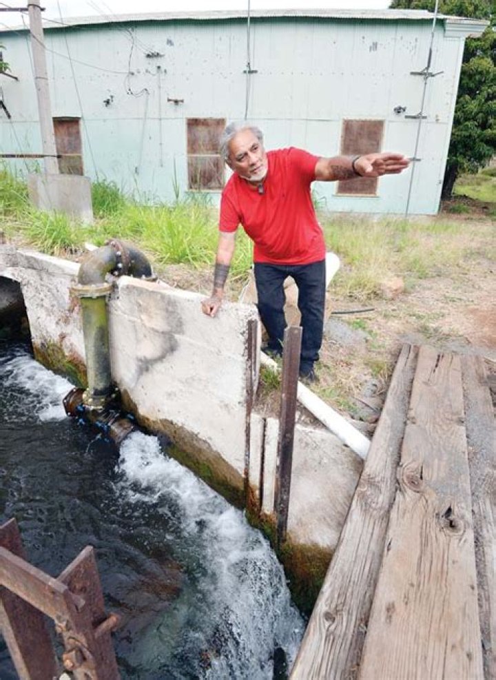 Water returned to some Kauaula Valley families, farms | News, Sports, Jobs